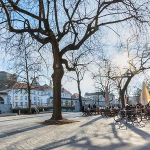 Old Town Ljubljana